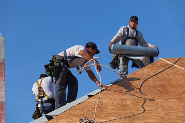 Best Metal Roofing Contractor  in Langston, OK